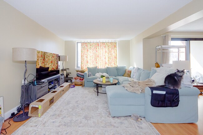 Foto del edificio - 85 Brainerd Rd