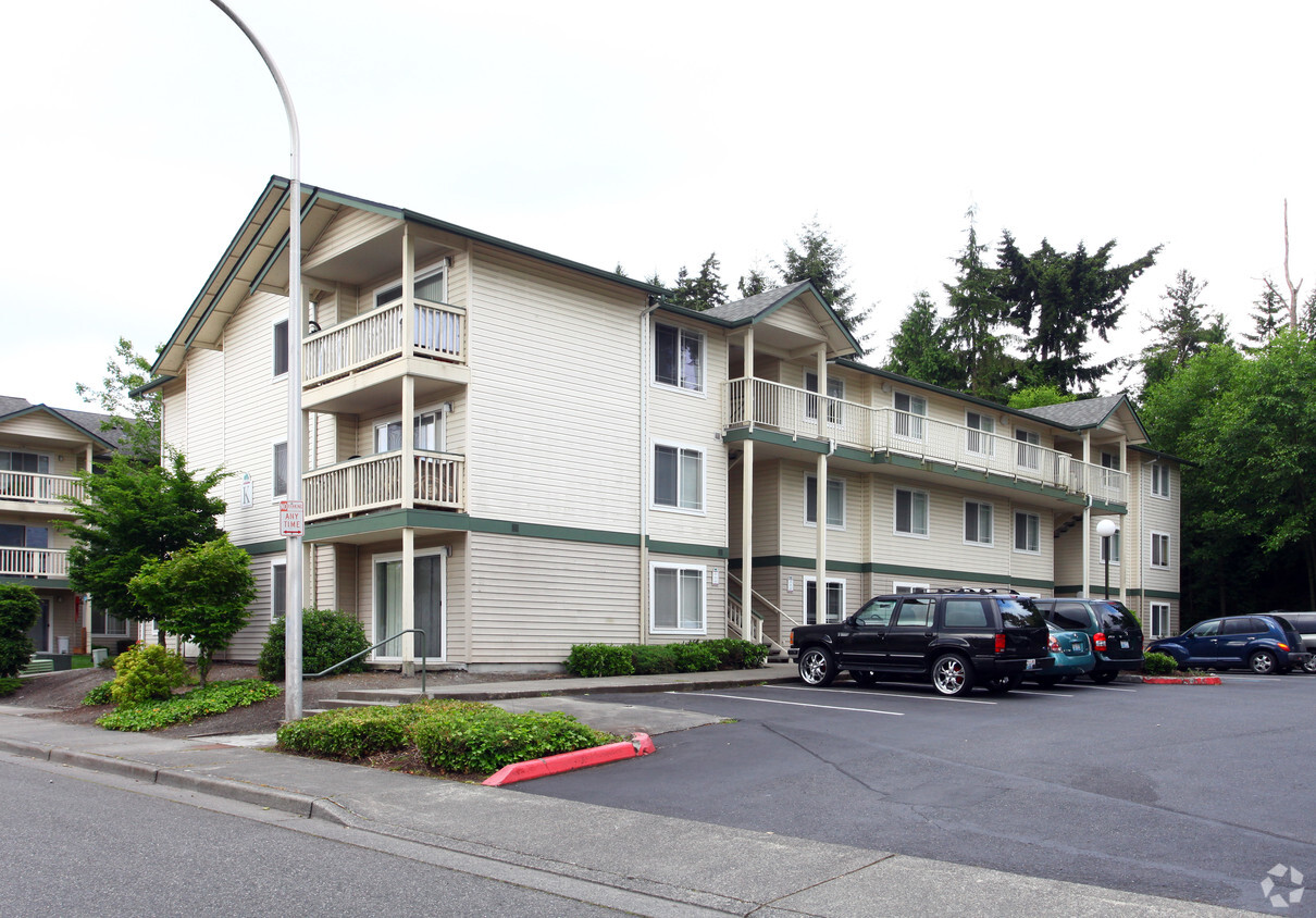 Primary Photo - Family Tree Apartments