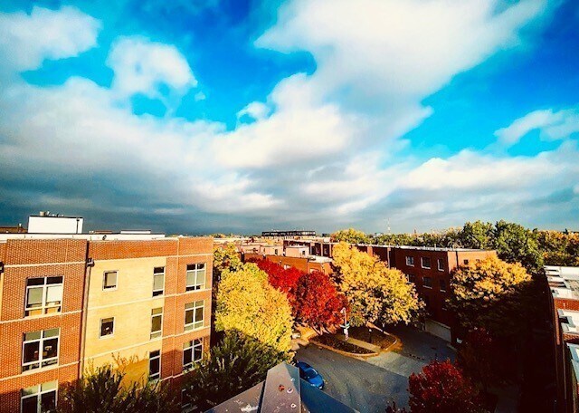 Foto del edificio - 2817 N Oakley Ave