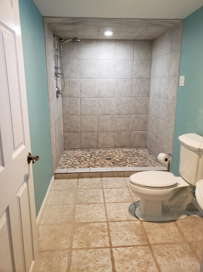 Full Bathroom with extra large stone shower - 119 Astor Ave