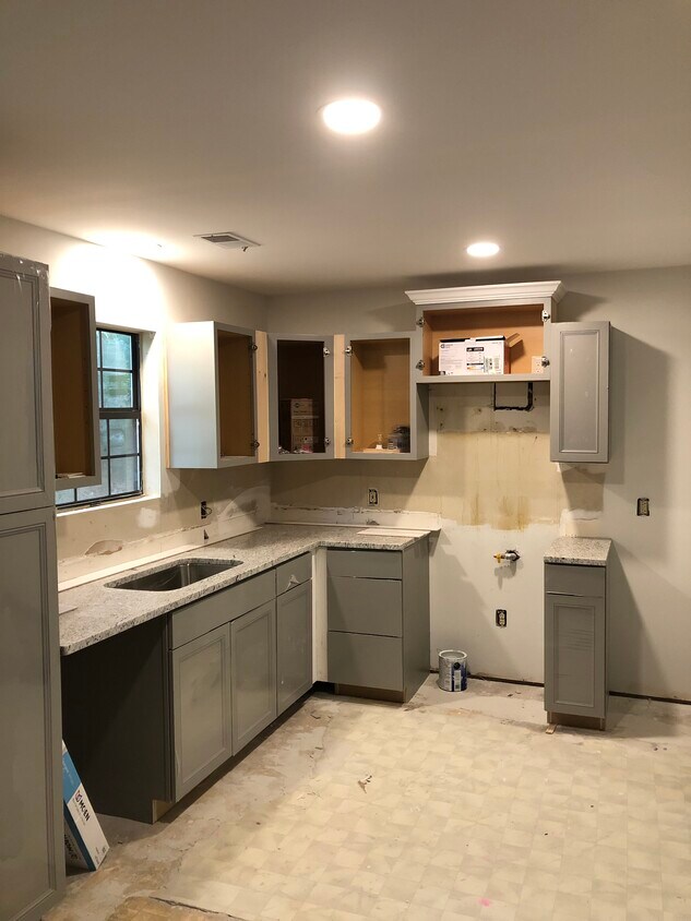 Remodeling kitchen - 1003 Pine Tree Ct