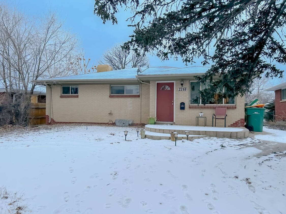 Primary Photo - Spacious Basement