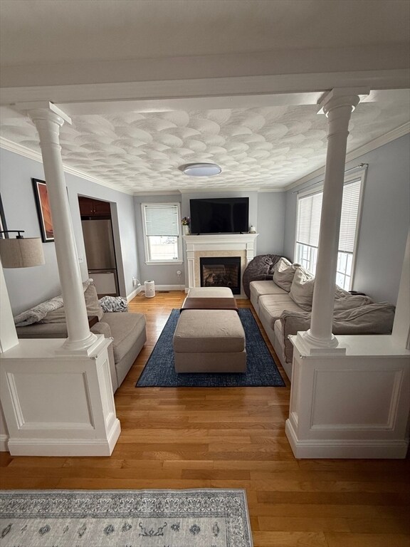 Foto del edificio - 12 Chester Rd