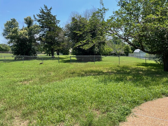 Large Back Yard - 932 Valley View Ave