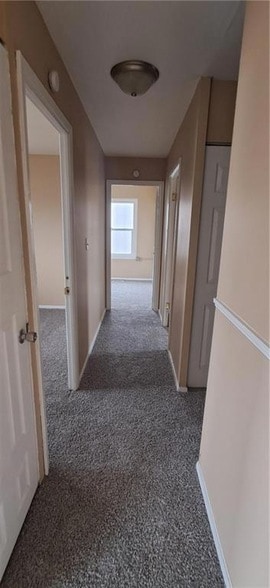 Foto del edificio - 3305 Chippewa Ln