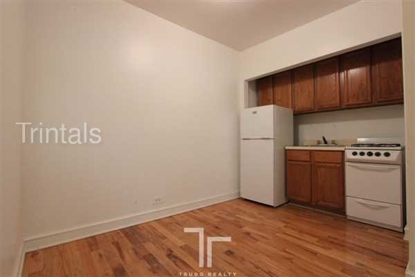 Pet Friendly Lakeview Studio Apt W Hwf Apartment For Rent In Building Photo Pet Friendly Lakeview Studio Apt W Hwf