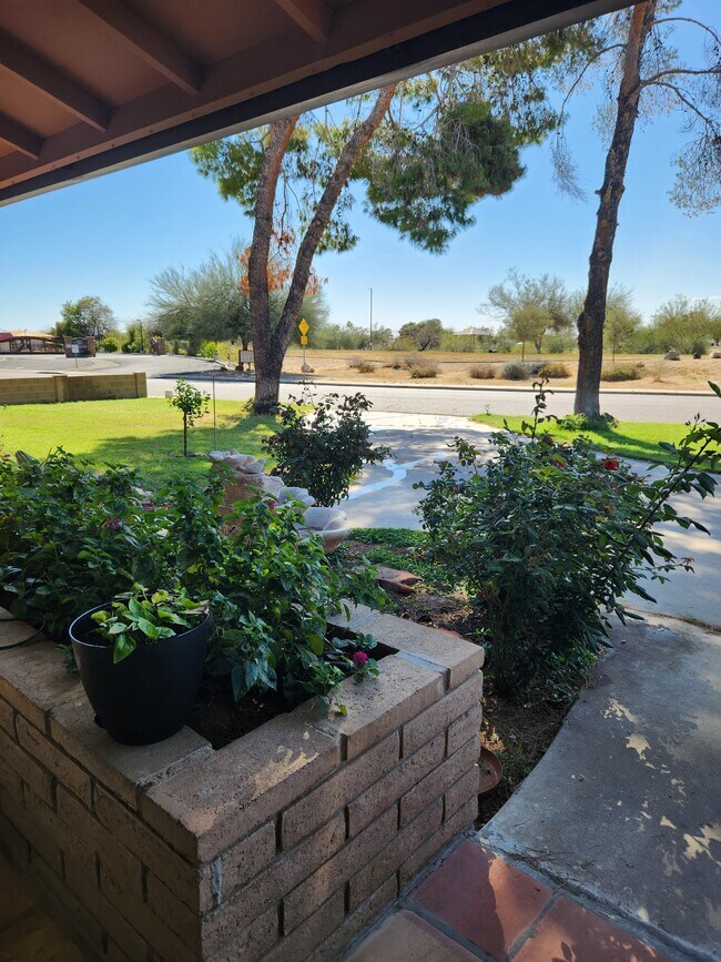 View from front door looking west toward park across the street - 13635 N 23rd Ave