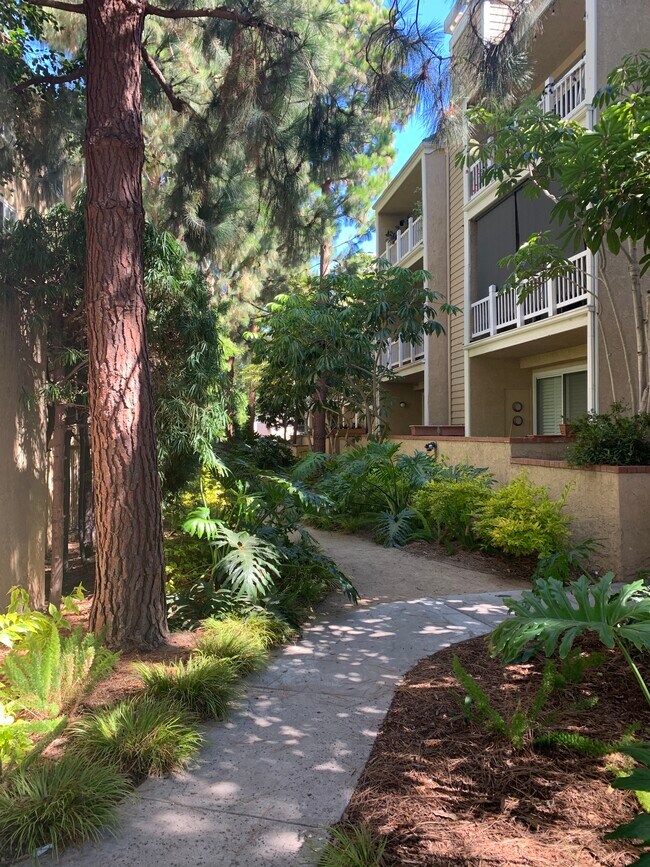 Cinturón verde - 8500 Falmouth Ave