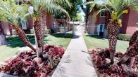 This single-story property makes a strong first impression with its thoughtfully maintained exterior and inviting curb appeal. The grounds are generously landscaped, featuring mature palm trees that line a central concrete walkway leading from the street to a white wrought-iron gated entrance. Vibrant beds of red and pink flowering plants frame the pathway on both sides, adding rich color against the backdrop of neatly trimmed green lawns. The front streetscape is equally well-appointed, with large shade trees providing a natural canopy along the sidewalk and additional palm trees accenting circular garden beds filled with seasonal blooms. The building exterior presents a warm earth-tone stucco finish, consistent with a desert or Southern California architectural style. The secured courtyard entrance, framed by white iron fencing and a matching gate, adds both a sense of privacy and a welcoming aesthetic. The overall outdoor environment is bright and sun-drenched, reflecting the warm climate of the region. The combination of mature trees, manicured lawns, and colorful plantings creates a pleasant, well-kept atmosphere that is both functional and visually appealing from the street.