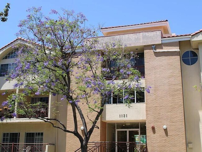 Building Photo - 1131 Campbell St