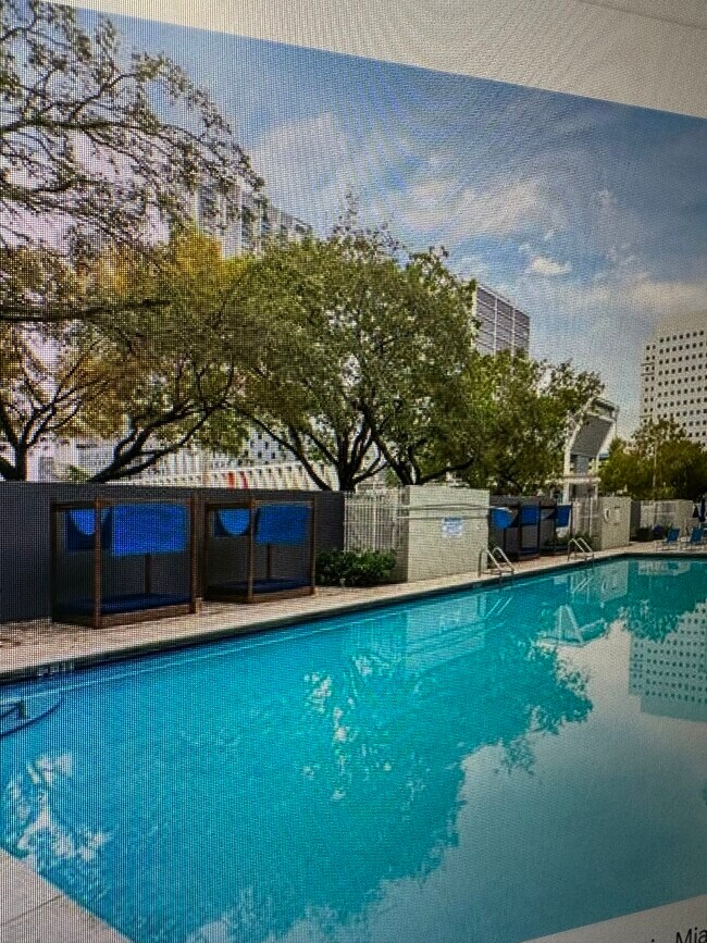Pool - 850 N Miami Ave