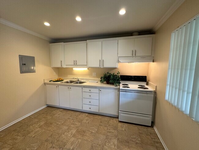 Plan B - Cocina - Pacific Park