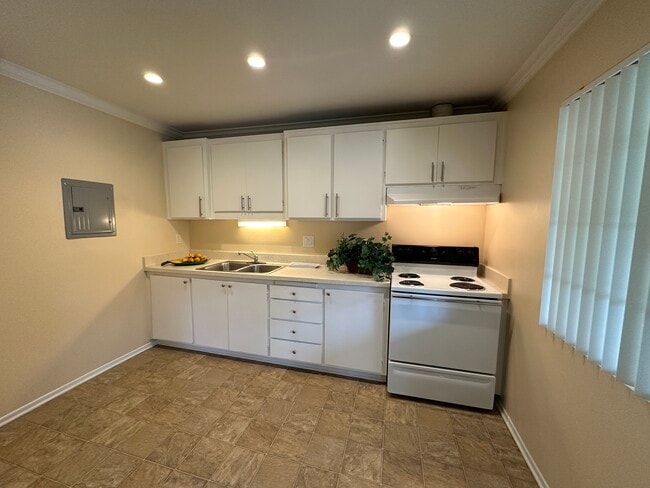 Plan B - Kitchen - Pacific Park