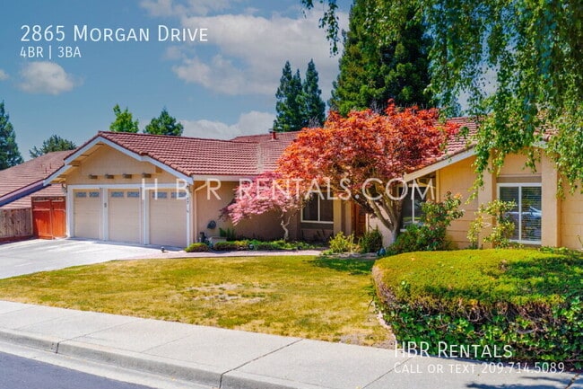 Building Photo - 2865 Morgan Dr