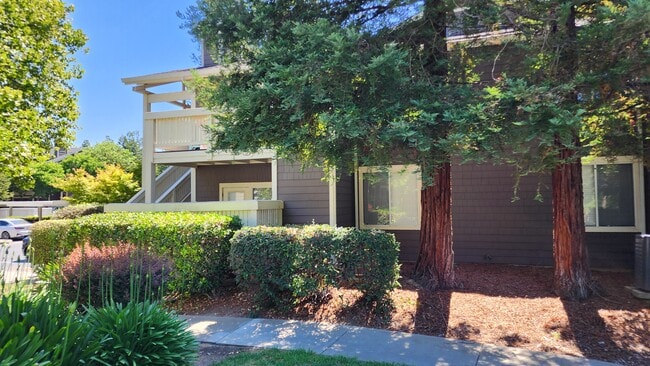 Building Photo - Park Wood Apartments