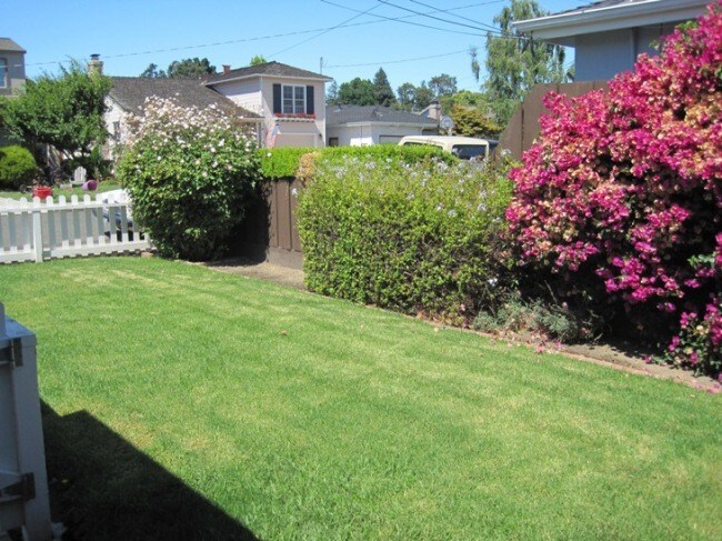 Foto del edificio - 1825 Chestnut St