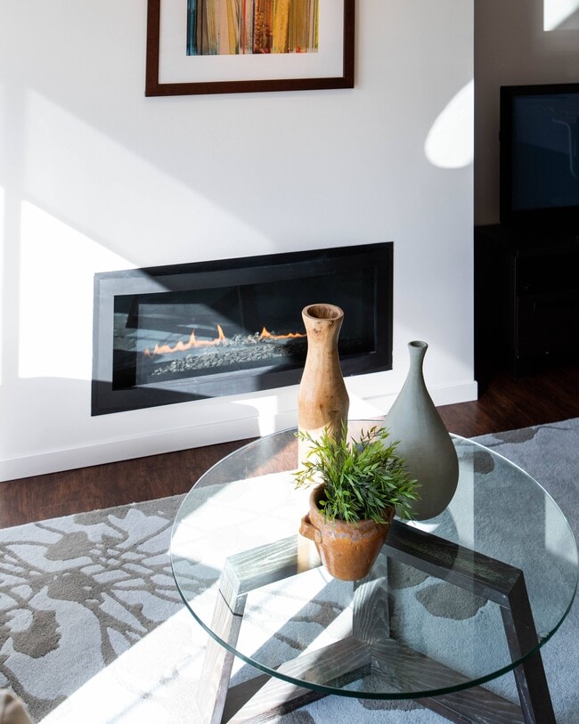 1800 Lake In-Unit Fireplaces* - 1800 Lake