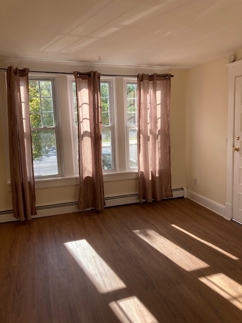 livingroom windows - 373 Washington Ave