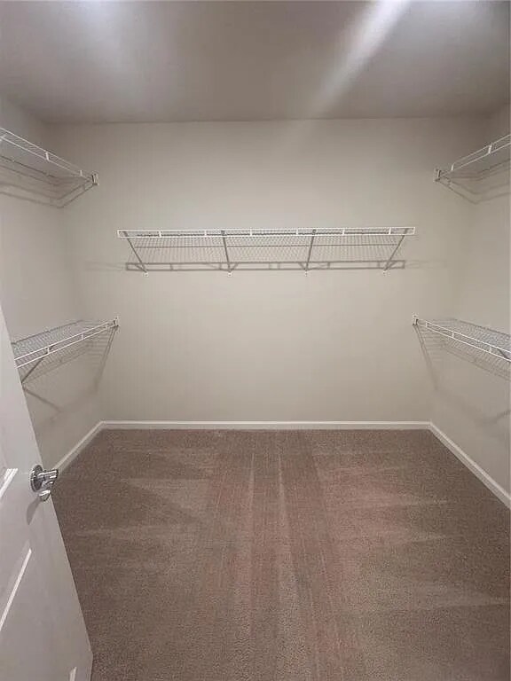 Building Photo - 6134 Bluestar Ct