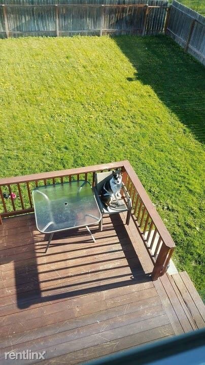 Foto del edificio - 4 br, 3 bath House - 1481 Peony Dr