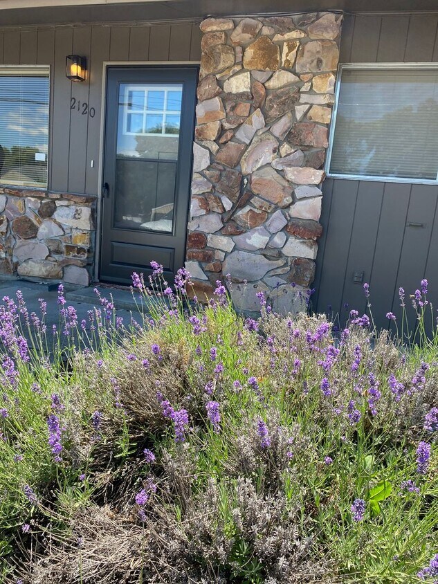 Primary Photo - Cozy 2 Bedroom, 1 Bathroom Apartment in Th...