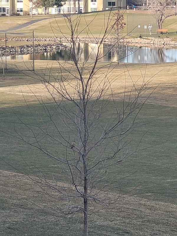 Photo - 710 S Alton Way Apartment