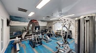 This fitness center offers a thoughtfully designed workout space packed with a comprehensive range of exercise equipment. The room is anchored by a striking large-scale wall mural depicting an athletic figure against a dramatic oceanic backdrop, creating an energizing and motivating atmosphere throughout the space.

The cardio section features multiple elliptical trainers, stationary bikes, and additional aerobic machines, all positioned to maximize use of the available floor area. A wall-mounted flat-screen television provides entertainment during workouts. Complementing the cardio equipment, a multi-station cable machine and functional training rig offer extensive strength training options, while a dedicated free weight rack stocked with a full range of dumbbells caters to varied fitness needs.

Full-length mirrors line one wall, enhancing the sense of openness and allowing users to monitor their form. Natural light filters in through arched windows, providing views of the surrounding outdoor greenery. Recessed and flush-mount ceiling lights ensure the space is well-lit at all times, and a ceiling fan supports air circulation.

The floor is covered in vibrant, multi-toned blue and grey carpet tiles that add a dynamic visual element. Crisp white walls and white-framed glass-panel doors maintain a clean, modern aesthetic. A water station is conveniently positioned within the space, and posted fitness rules reflect an organized, well-maintained facility.