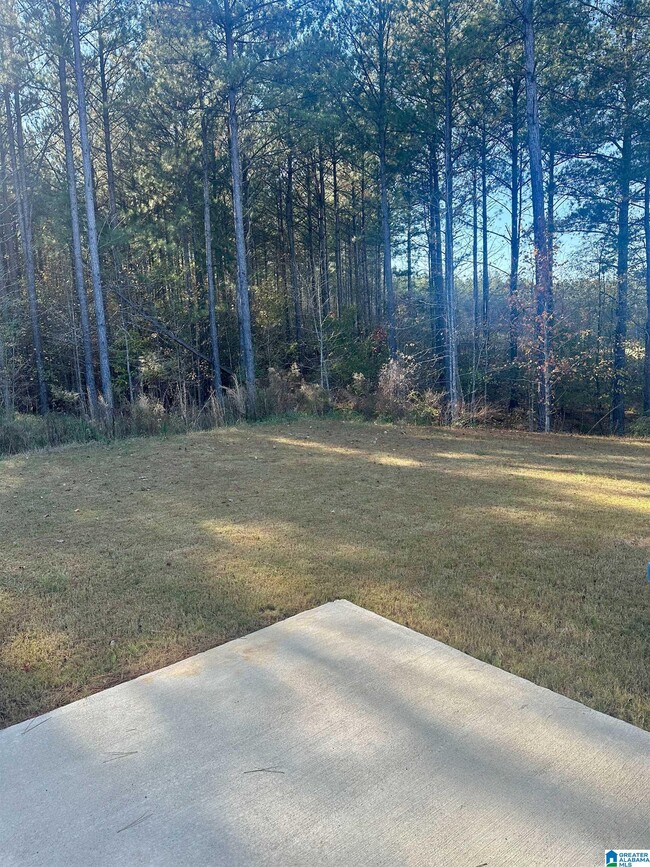 Building Photo - 204 Chelsea Pk Cir