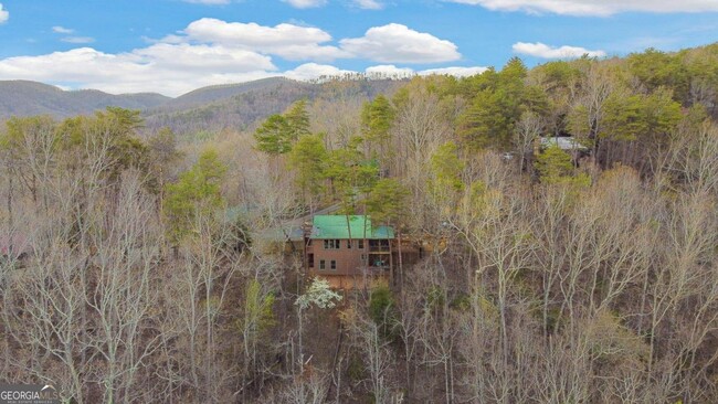 Building Photo - 419 Cohutta Mountain Road