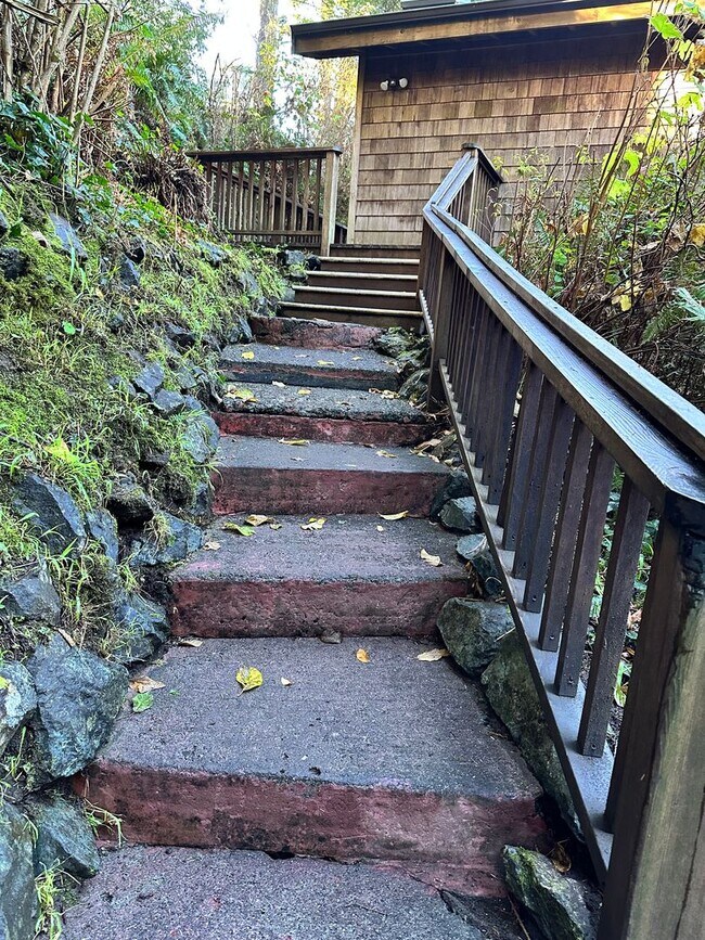 Foto del edificio - Redwood Cabin Retreat Steps from the Pacific Ocean, Moonstone Beach, CA