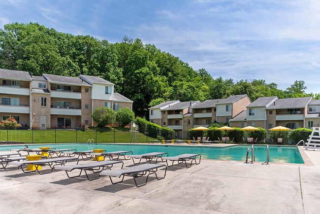 Building Photo - The Apartments at Saddle Brooke