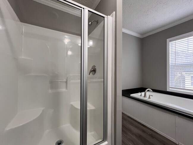 Foto del edificio - 258 Field Pine Dr