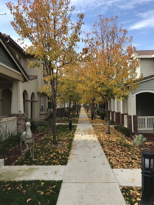 Building Photo - Two story home in Mountain House!