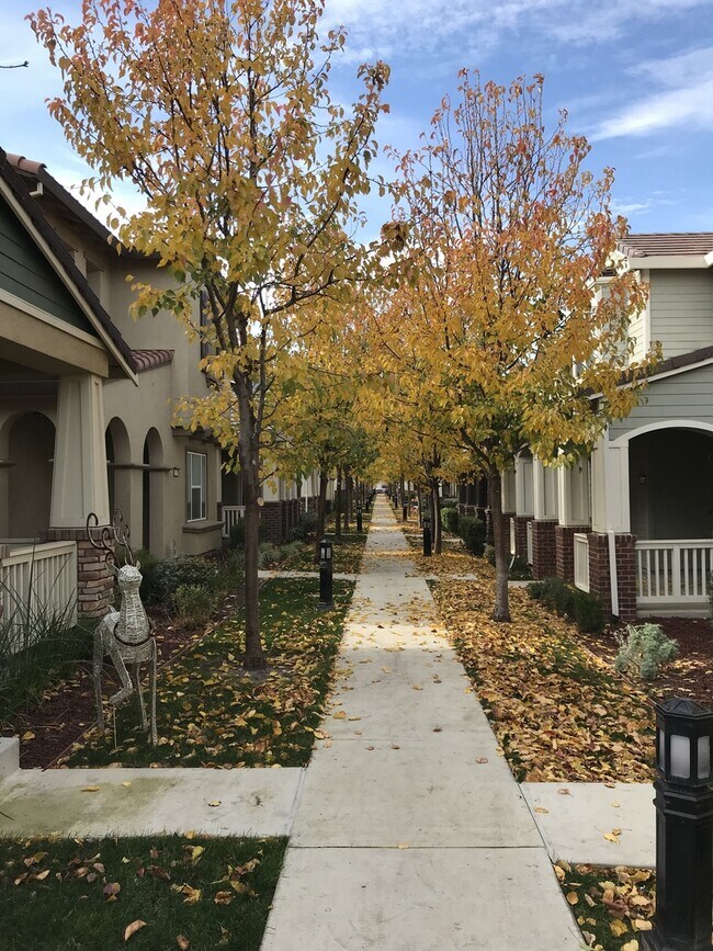 Foto del edificio - Two story home in Mountain House!
