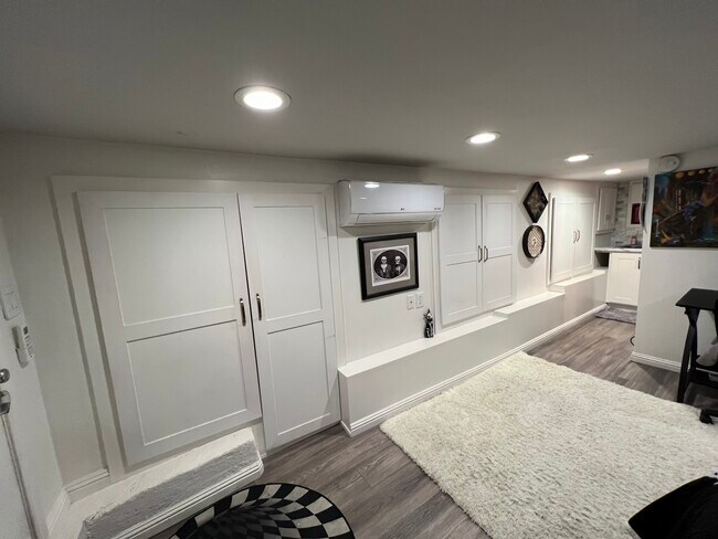 Closet - 264 Spring St