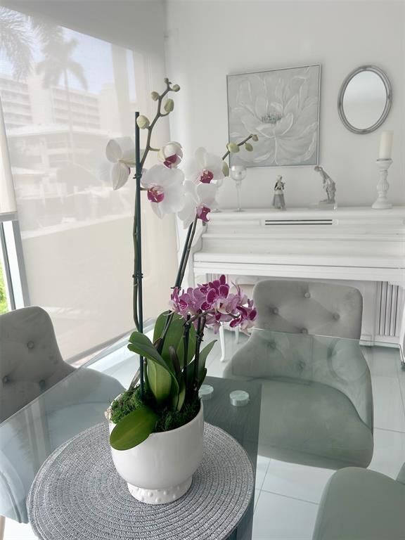 Foto del edificio - 3051 NE 47th Ct