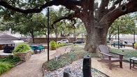 Located at 8787 Woodway Dr in Houston, Texas, this inviting outdoor courtyard is a beautifully landscaped communal space that serves as a peaceful retreat. The grounds are anchored by magnificent, mature live oak trees with sweeping canopies that provide natural shade and a distinctive sense of character. String lights are strung throughout the canopy, creating a warm and welcoming ambiance during evening hours.

The landscaping is thoughtfully designed, incorporating a variety of plantings including sago palms, ornamental grasses, ground cover, and decorative rock borders that add texture and visual interest. Winding gravel pathways guide visitors through the green space, connecting multiple seating areas. Adirondack chairs are positioned throughout, offering comfortable spots to relax beneath the tree canopy.

A dedicated outdoor grilling station with a raised stone surround is available for use, complemented by nearby picnic-style tables with bright teal seating — ideal for outdoor dining and social gatherings. The space is framed by a multi-story brick and siding building with balconies, and a privacy fence encloses the perimeter, creating a secluded and intimate atmosphere. Overall, the courtyard presents a lush, resort-like environment that blends natural beauty with functional outdoor amenities.