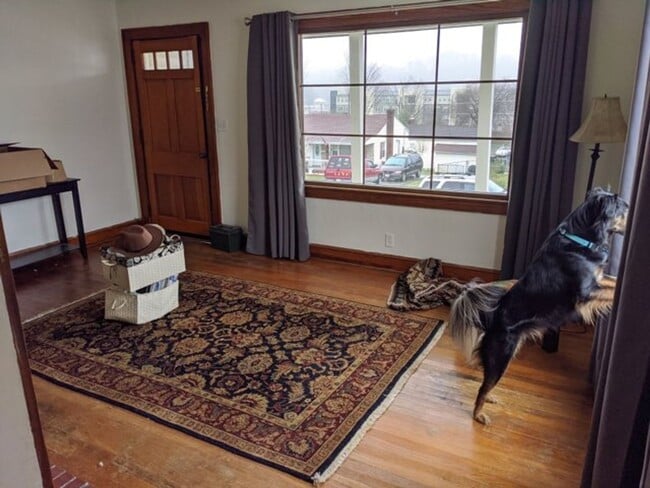 Building Photo - Sweet House with Privacy Fenced Backyard! Walk or Bike to ETSU Medical School & Pharmacy School &...