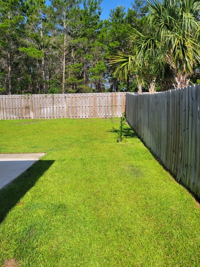 Building Photo - 1511 Ballyhoo Dr