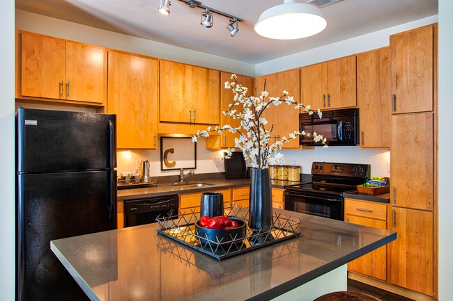 Circa Apartments - 4