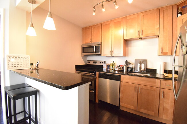 Foto del edificio - 1455 N Sandburg Terrace