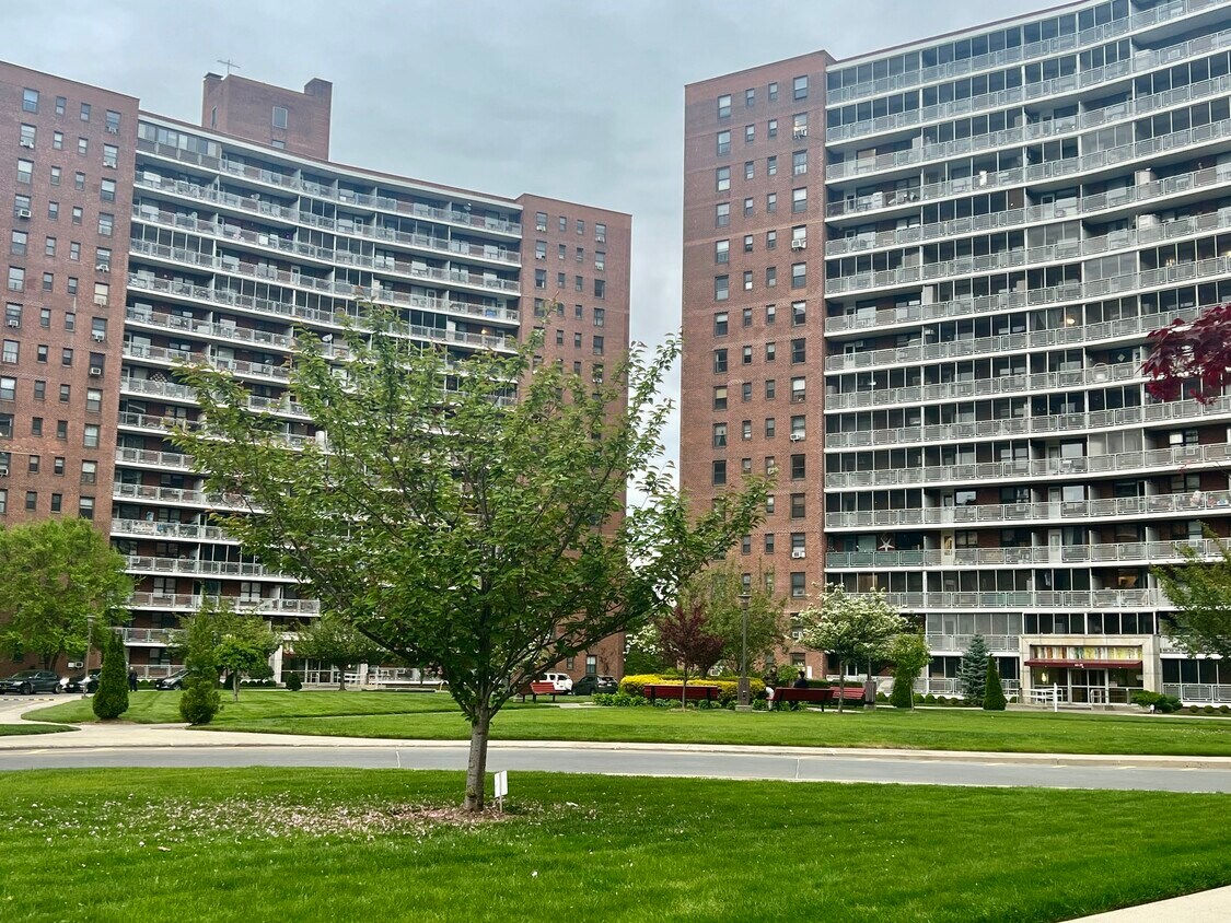 6155 98th St Unit 11, Rego Park, NY 11374 Condo for Rent in Rego Park