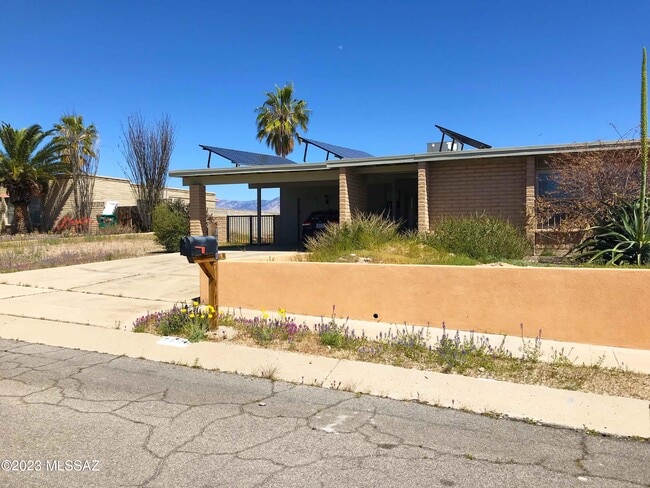 Building Photo - 7800 N Nicole Pl