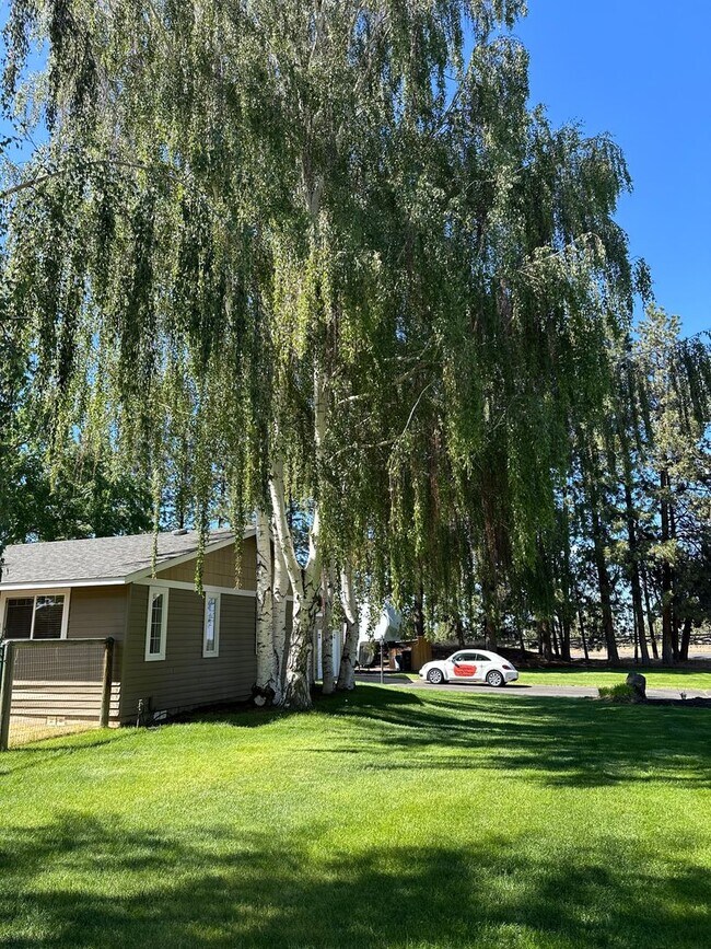Building Photo - 3 Bed | 2 Bath | 1.17 Acres | Single-Level Home | Mountain Views