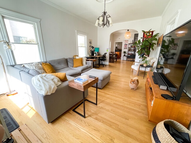 living room - 703 Mira Monte Pl