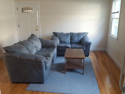 sunny living room - 595 Whitney Ave
