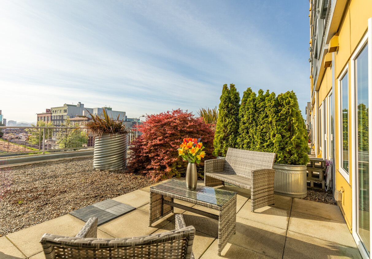 Private open sky terrace - 2440 Western Ave