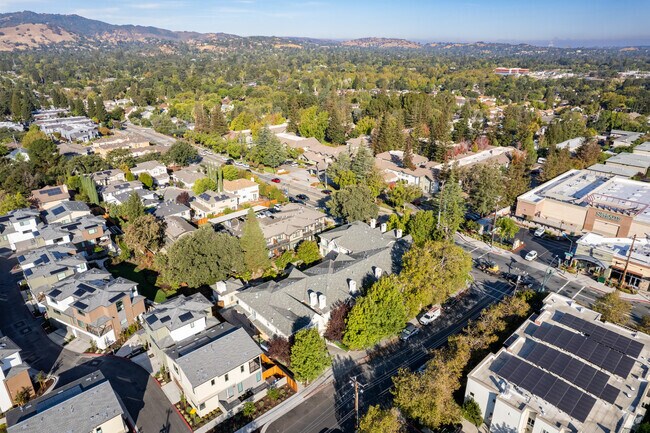 Aerial Photo - 1539 Geary Rd