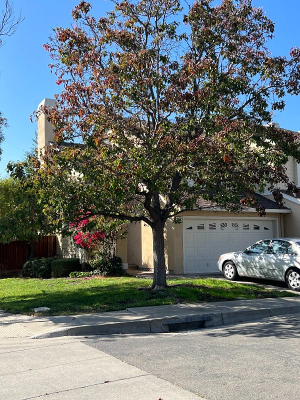 Building Photo - 41659 Carol Terrace