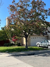 Building Photo - 41659 Carol Terrace